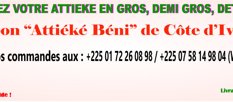 PUB MARTINE ATTIEKE 3 copie