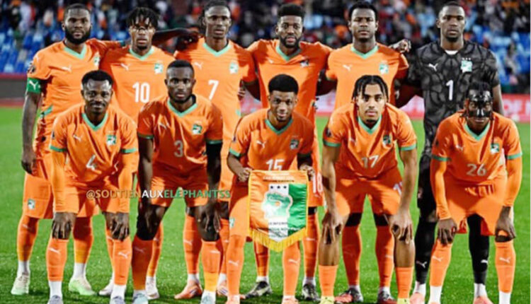 Les Eléphants de Côte d&rsquo;Ivoire (2)