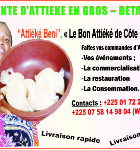 PPUB MARTINE ATTIEKE NOUVEAU 1 copie